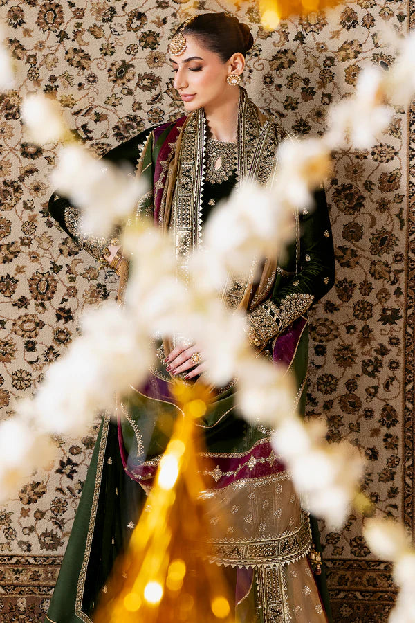 Embroidered Velvet Formal CVF D-09